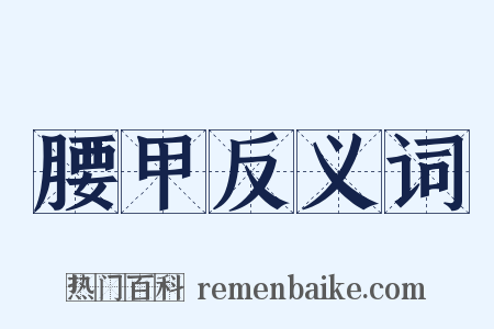 腰甲反义词是什么意思的图片